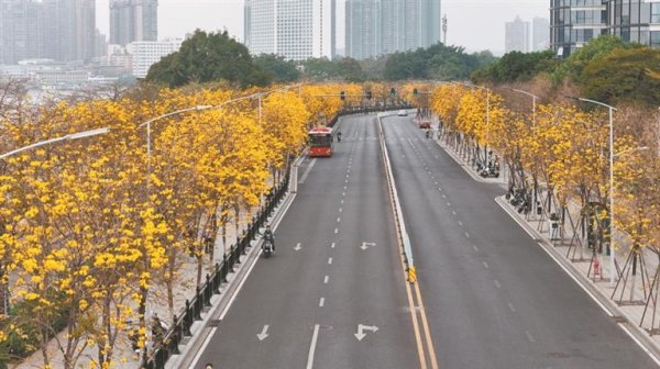体育游戏app平台观赏缤纷繁芜的锦团花簇-开云(中国)Kaiyun·官方网站 登录入口