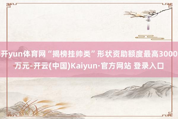 开yun体育网“揭榜挂帅类”形状资助额度最高3000万元-开云(中国)Kaiyun·官方网站 登录入口