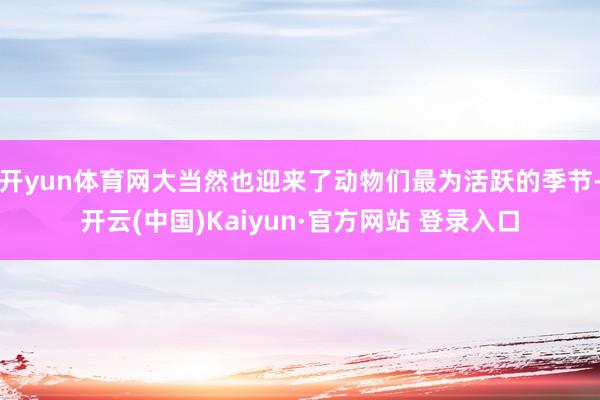 开yun体育网大当然也迎来了动物们最为活跃的季节-开云(中国)Kaiyun·官方网站 登录入口