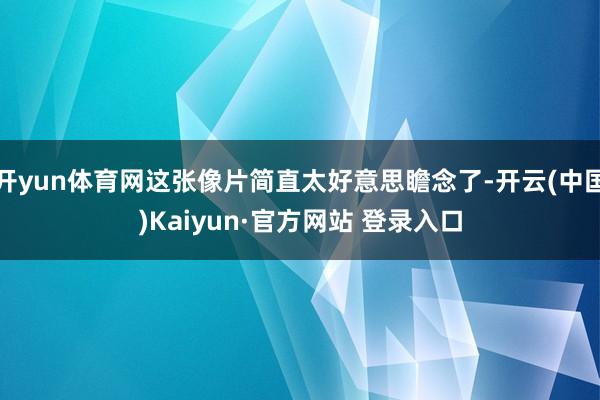 开yun体育网这张像片简直太好意思瞻念了-开云(中国)Kaiyun·官方网站 登录入口