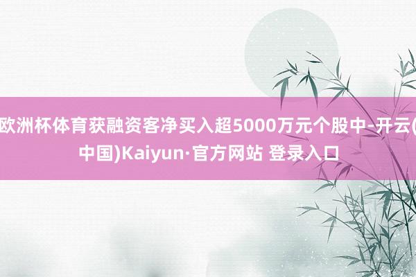 欧洲杯体育获融资客净买入超5000万元个股中-开云(中国)Kaiyun·官方网站 登录入口