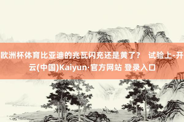 欧洲杯体育比亚迪的兆瓦闪充还是黄了？  试验上-开云(中国)Kaiyun·官方网站 登录入口