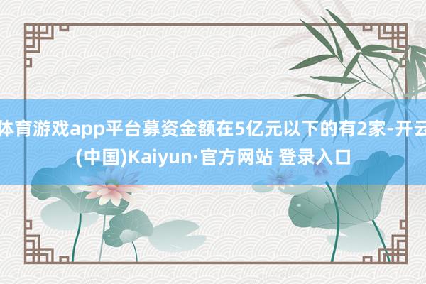 体育游戏app平台募资金额在5亿元以下的有2家-开云(中国)Kaiyun·官方网站 登录入口