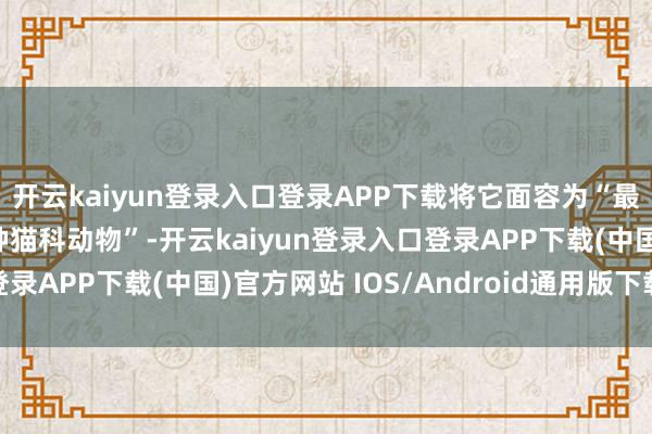 开云kaiyun登录入口登录APP下载将它面容为“最不为东说念主知的一种猫科动物”-开云kaiyun登录入口登录APP下载(中国)官方网站 IOS/Android通用版下载安装