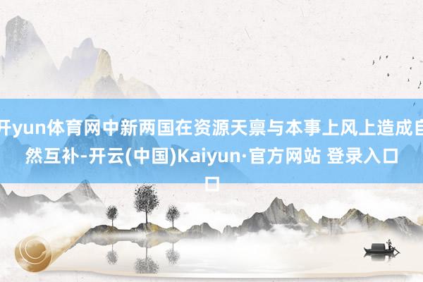 开yun体育网中新两国在资源天禀与本事上风上造成自然互补-开云(中国)Kaiyun·官方网站 登录入口